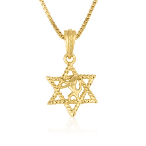 14k Solid Gold Pendant Necklace, Lion Of Judah Image in the Star of David