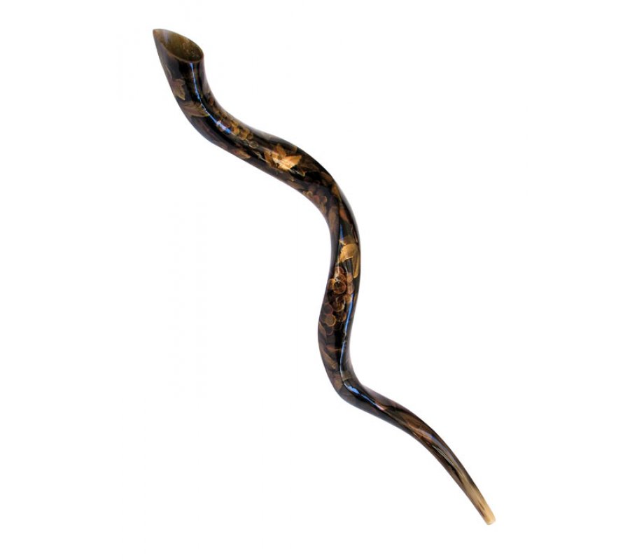 Collectors Hand Painted Kudu Shofar with Gold Grapevine