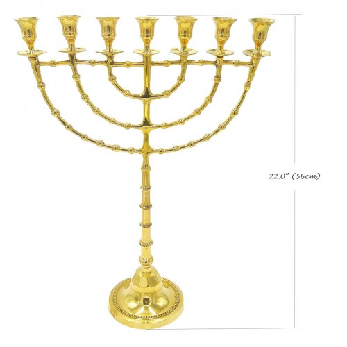 Extra Large Gold Colored Seven Branch Menorah, Brass  22