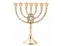 Seven Branch Menorah with Framed Star of David, Gold Colored Brass  10