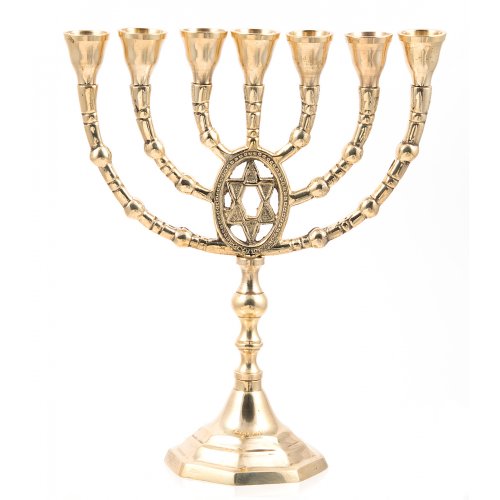 Seven Branch Menorah with Framed Star of David, Gold Colored Brass  10