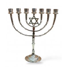 Seven Branch Nickel Menorah with Star of David on Stem  11 Inches High