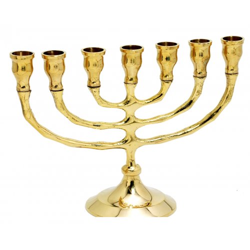 Small Gleaming Gold Brass Seven Branch Menorah - 6