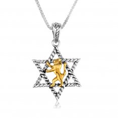 Sterling Silver Necklace with Pendant, Gold Lion Of Judah in the Star of David